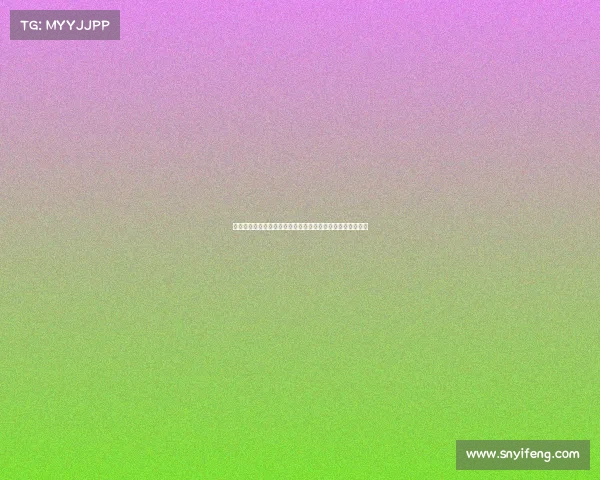 美职篮赛事体系全程结构解析涵盖常规赛季后赛总决赛全流程